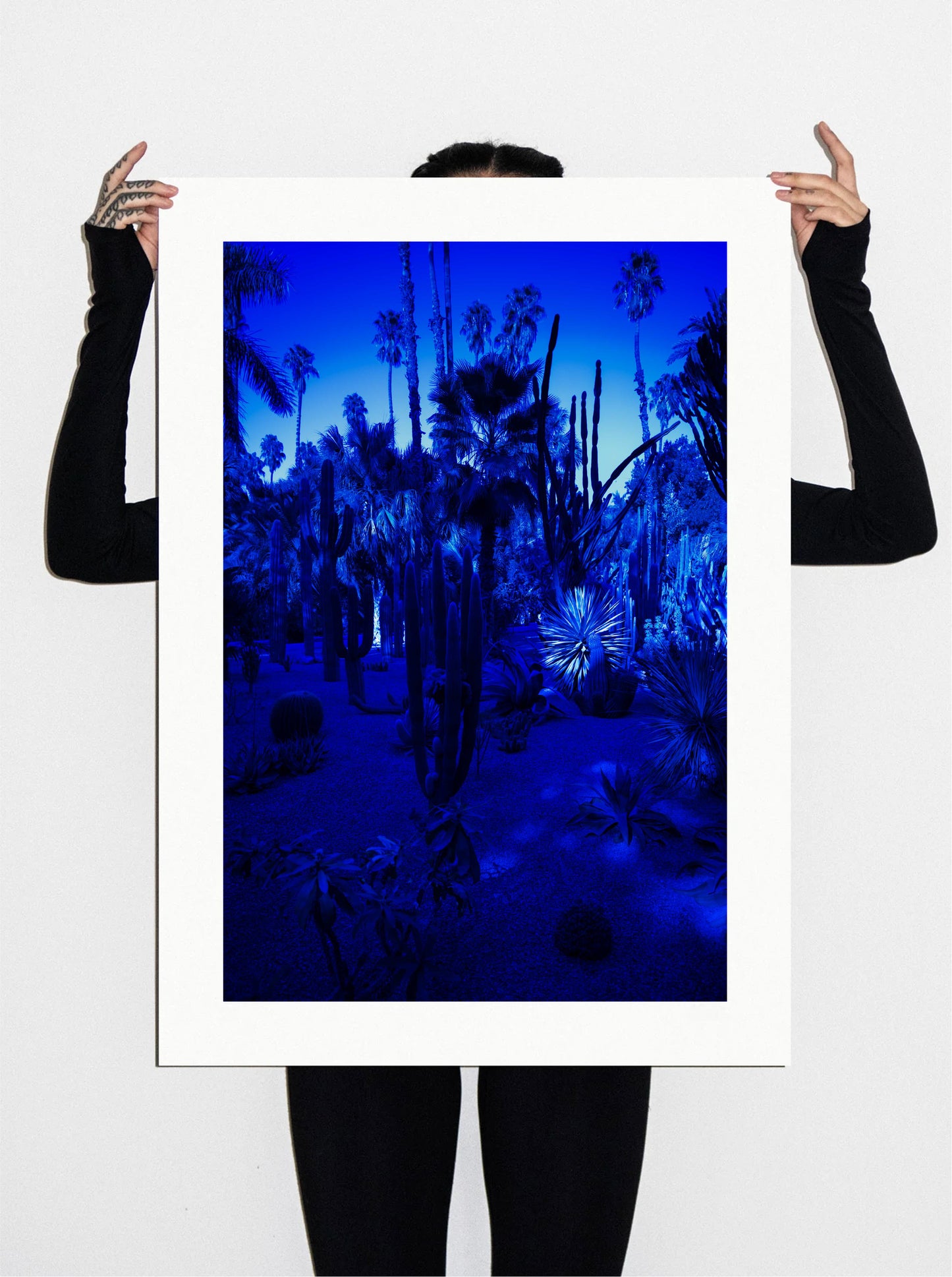 Bleu Majorelle