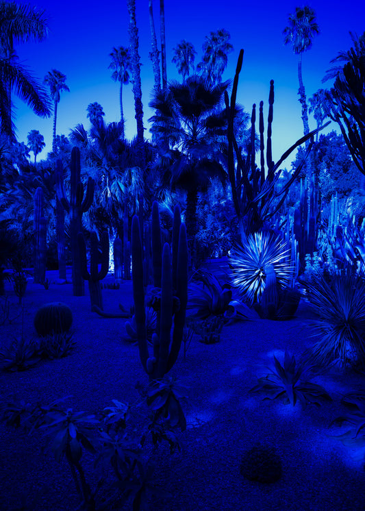Bleu Majorelle